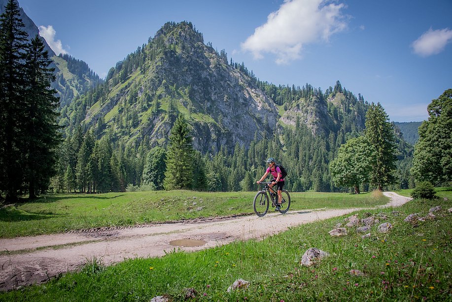 Mountainbiker vor Bergkulisse