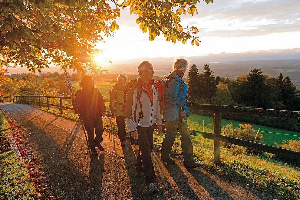 Eine Gruppe Wanderer im Abendlicht auf einem Weg Eine Gruppe Wanderer im Abendlicht auf einem Weg